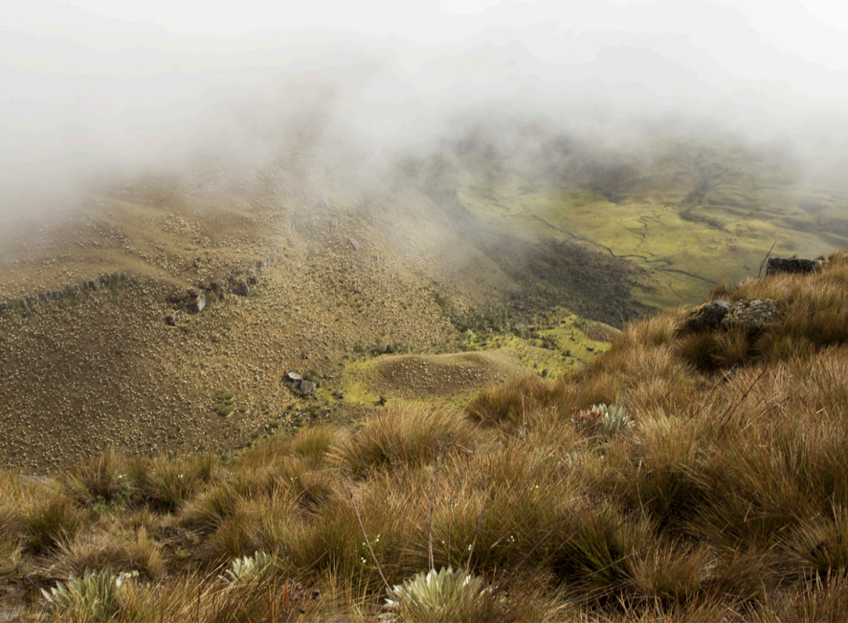 A landscape of foggy mountains.